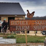 The Diddly Squat farm shop. Picture: Ed Nix