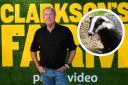 The Badger Trust has criticised Jeremy Clarkson's comments about the animals in an episode of Clarkson's Farm