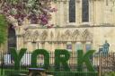 Spring in York - outside York Minster - by Lisa Young