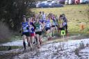 Eynsham's Liz McAllister leads the way during the opening stages of the fourth round of the Oxford Mail Cross Country League at Adderbury Picture: Barry Cornelius