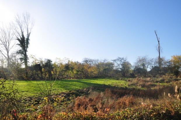 Witney Gazette: The proposed development site at Rushy Bank near Charlbury
