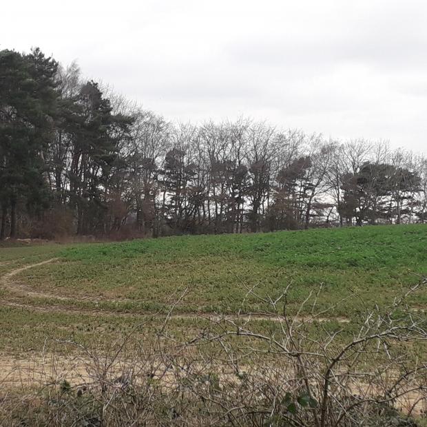 Witney Gazette: The Bayswater development site, where plans for 1,500 homes are being consulted on. Picture: Miranda Norris