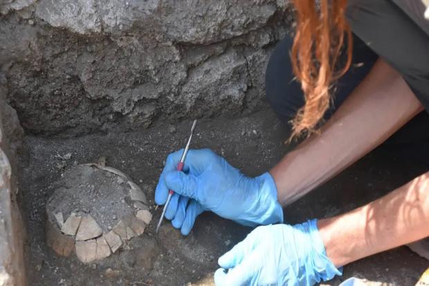 The 14cm-long Hermann’s tortoise and her egg were discovered during excavations