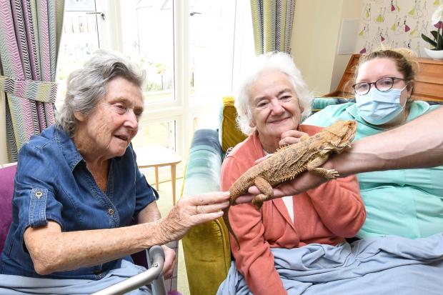 Reptile-loving residents snap up chance to meet Tony the crocodile
