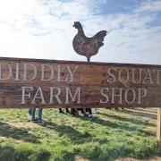 'It's not a genuine farm shop' council argue at Diddly Squat appeal