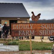 'Diddly Squat Farm must be treated like any other' says Council