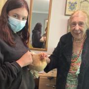 Bantam chickens Pasta and Tesco visited Madley Park House care home. Picture provided by The Orders of St John Care Trust