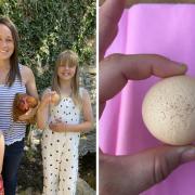 Twinski the chicken, from Brize Norton, has laid a ‘one in a billion’ round egg