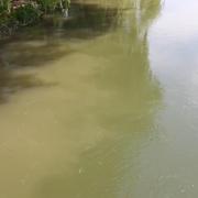 Raw sewage dumped into River Thames by Thames Water
