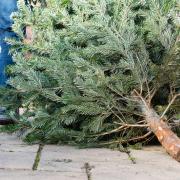 How do I dispose of my Christmas waste?
