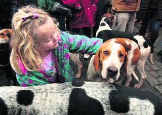 Thousands turn out for hunt meet